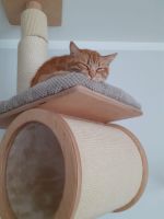 He really like it :-)